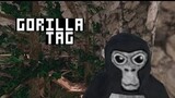 GETTING LAST TAGGED IN EVERY GORILLA TAG MAP