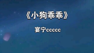 阿包深夜突击的《小狗乖乖》
