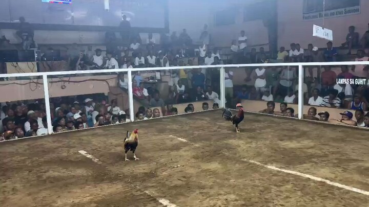 3rd fight helicopter bulik win
