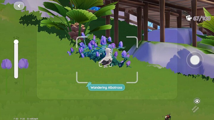 Lokasi Semua Burung Event - Heartopia