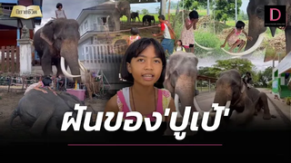 “น้องปูเป้” ฝันอยากเป็นสัตว์แพทย์ ชีวิตนี้ขอสืบทอดวิถีคนเลี้ยงช้าง นิยายชีวิต เดลินิวส์ 24/07/65