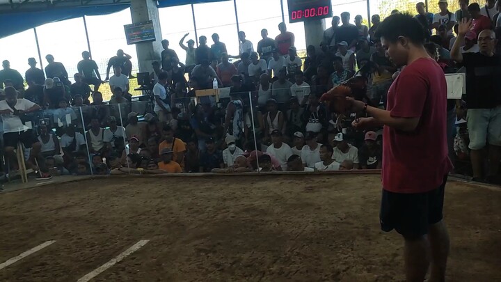 Gilmore x gb/boston 1st fk 12secs