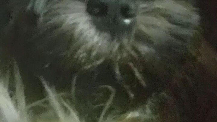 the last memories of my little girl