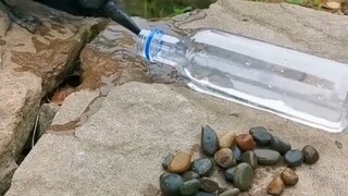 It turns out elementary school textbooks have been lying to us all these years