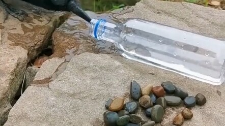 Hóa ra sách giáo khoa tiểu học đã lừa chúng ta suốt ngần ấy năm