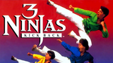 3 ninjas kick back 1994