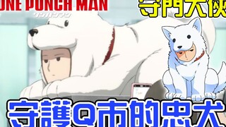 人犬合一 呆萌无双的守护神 S级狗狗超人的人气魅力大揭秘【暴躁宅男】