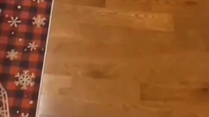 Cat's Spiral Fart: A Stinky Yet Wonderful Natural Phenomenon!