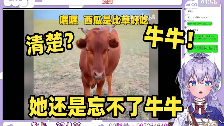 日本清楚萌妹看《动物偷吃被抓名场面》人看傻眼了