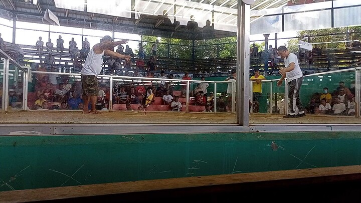 Talisay 1st fight