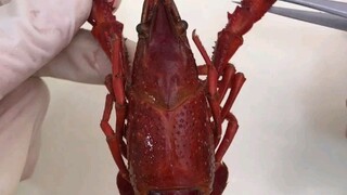 ที่ไหนห้ามกินกุ้งแม่น้ำบ้าง?