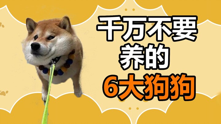 Pet Trivia: Dare you own these 6 dog breeds?