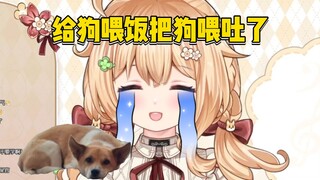 当我的狗也命苦啊【宴宁ccccc】