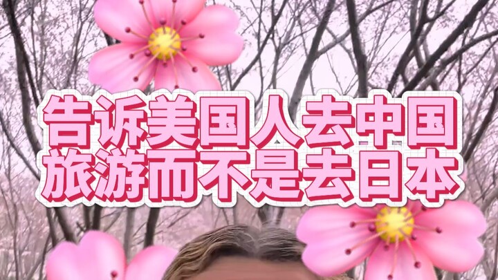Filter bunga sakura di bawah bias kebaikan
