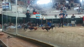 Texas cockpit arena Antipolo city.