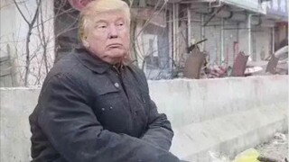 网上的神回复27