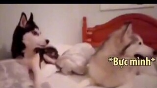 Lu cute vãi ❤ 😊