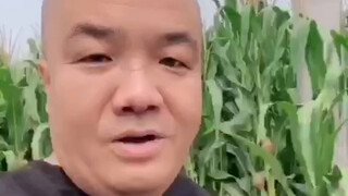 【二次元刀哥】我要飞得更高