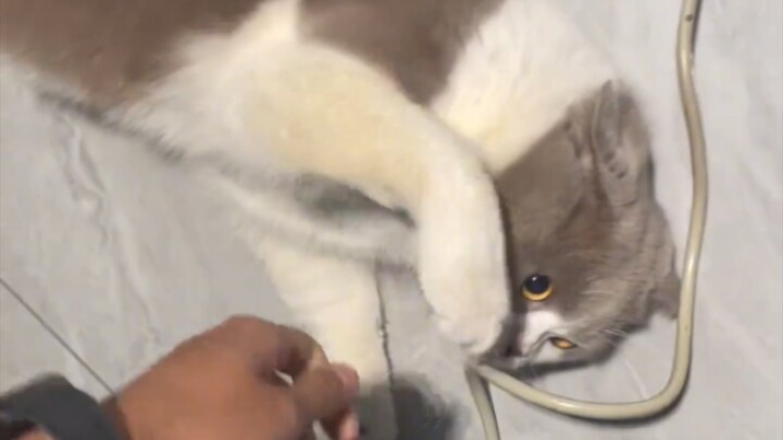 เดาสิ ใครกันแน่คือผู้เสียหาย?