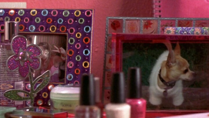 Legally Blonde (with Reese Whiterspon,comedy)