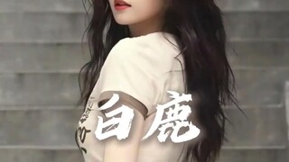 Bai Lu's Path in the Entertainment Industry