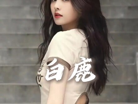 Bai Lu's Path in the Entertainment Industry