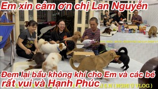 Đàn Cún yêu nhà S.N vui mừng khui qùa Mỹ dễ thương lắm cả nhà ơi , các bé quậy banh nhà 🤣