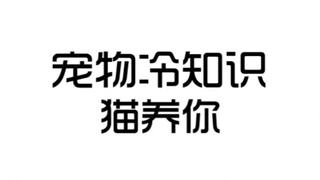 Actually, it's the cat raising you!