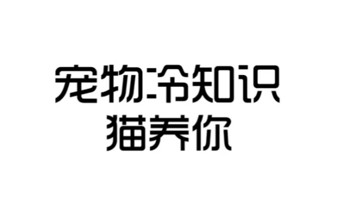 Actually, it's the cat raising you!