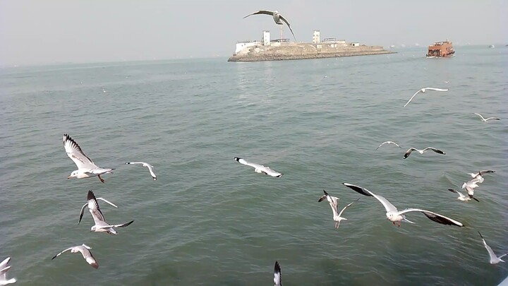 #mumbai