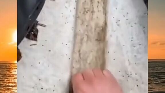 Panik gak panik gak🗿