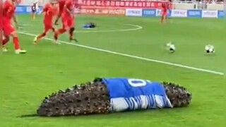 خسرت أمام خيار البحر، ما عاد يُمكنني الخسارة بعد الآن (إعادة النشر)