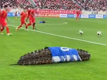 Thua rồi hải sâm, tiếp theo không còn gì để thua nữa (phát lại)