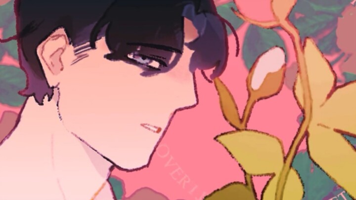 【OC/动画meme】Looking Dolly