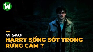 Tại Sao Harry Potter Không Chết Trong Rừng Cấm ? (Chính Thức)