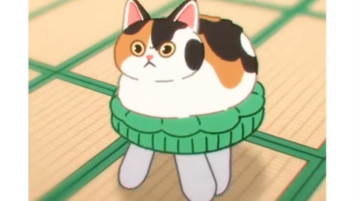 “Funny cats shared with the cutest people”