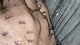 ฉันยังจำเป็นต้องปลุกคุณลุงสองให้ตื่นอีกไหม?