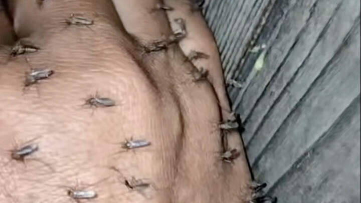 我还有必要叫醒二叔公吗？