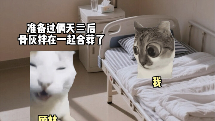 Egg Tart Time Episodes 1 & 2