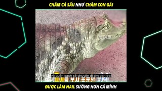 Nuôi C.Á X.Ấ.U làm PET và cái kết