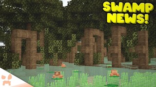 Minecraft 1.19 Mangrove Swamp Update and Ideas!