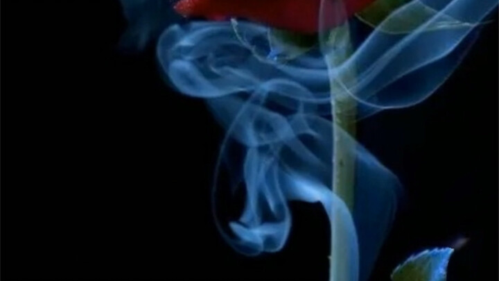 【Karier】(Banyak sekali tanggapan) Yang tidak butuh urusan karier jangan dengar/Asal ada kaitannya de