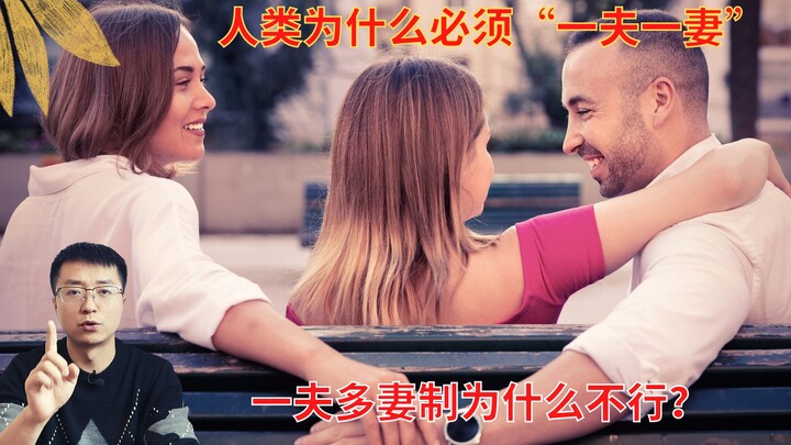 Mengapa manusia harus menganut monogami? Mengapa poligami tidak bisa diterima?