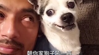 对狗子吠叫一声，看看他们的反应