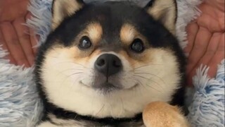 曼玉的双人SPA