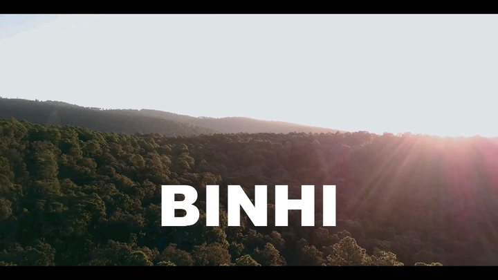Binhi (VPES)