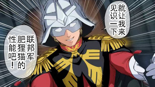 遭遇夏亚挑战的水星狸猫