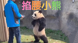 没错，我就是你们要找的那只长腿掐腰小熊！