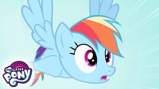 My Litte Pony Bahasa Indonesia 🦄  Hewan Terbaik Menang! |episode penuh