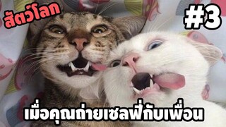 Ep.3 สัตว์โลกกวนตีน - [ พากย์นรก ] | easy boy